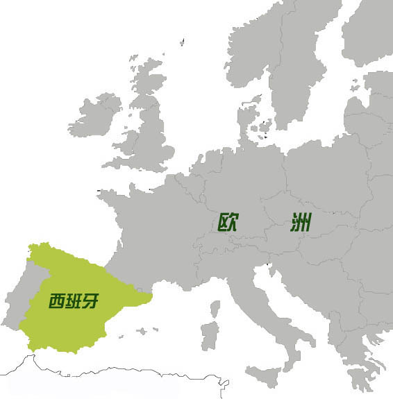 西班牙橄榄油的主要产区
