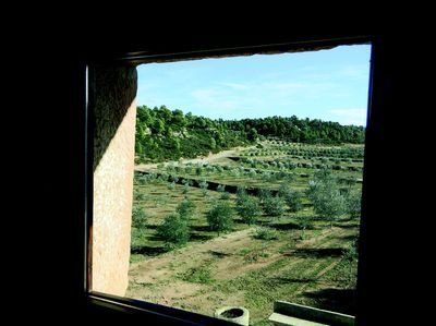 访西班牙加泰隆尼亚 探橄榄油之乡