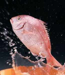 七个食疗方法 预防慢性疾病