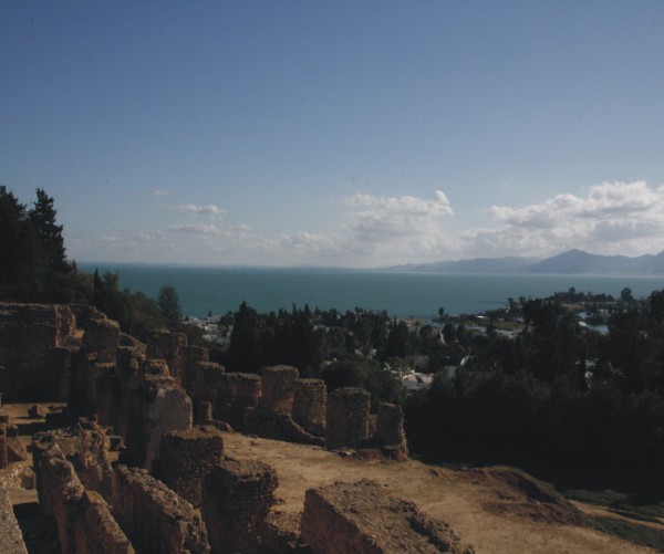 橄榄油历史文化Olive Oil History and Culture