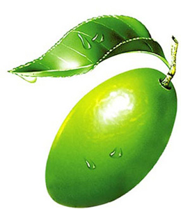 一瓶橄榄油搞定秋冬护肤(组图)